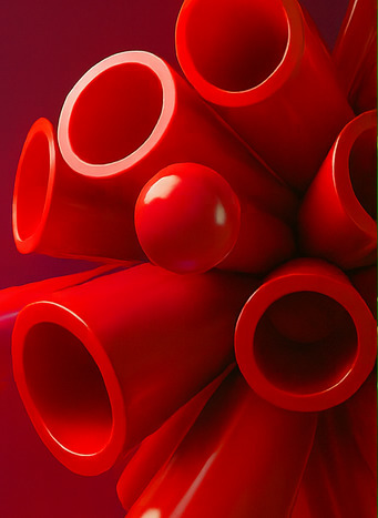 알파 존에서의 모험 체험