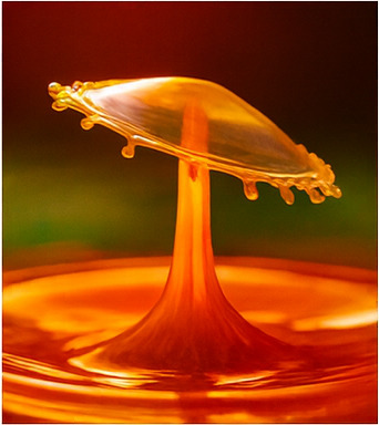 새로운 모험의 장